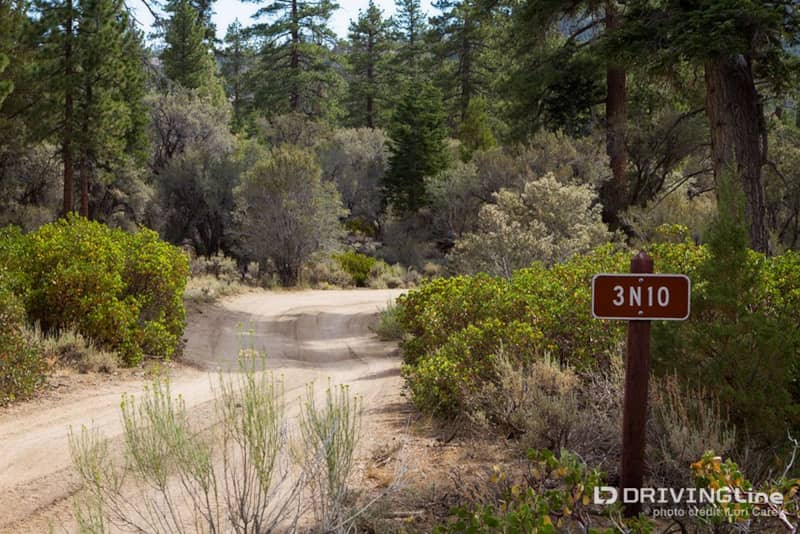 3N10 trailmarker in Big Bear