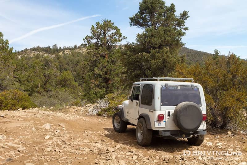 Big_Bear_Off-Road_Trails_48