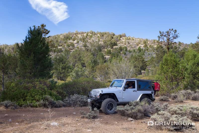 Big_Bear_Off-Road_Trails_56