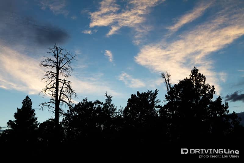 Big_Bear_Off-Road_Trails_60