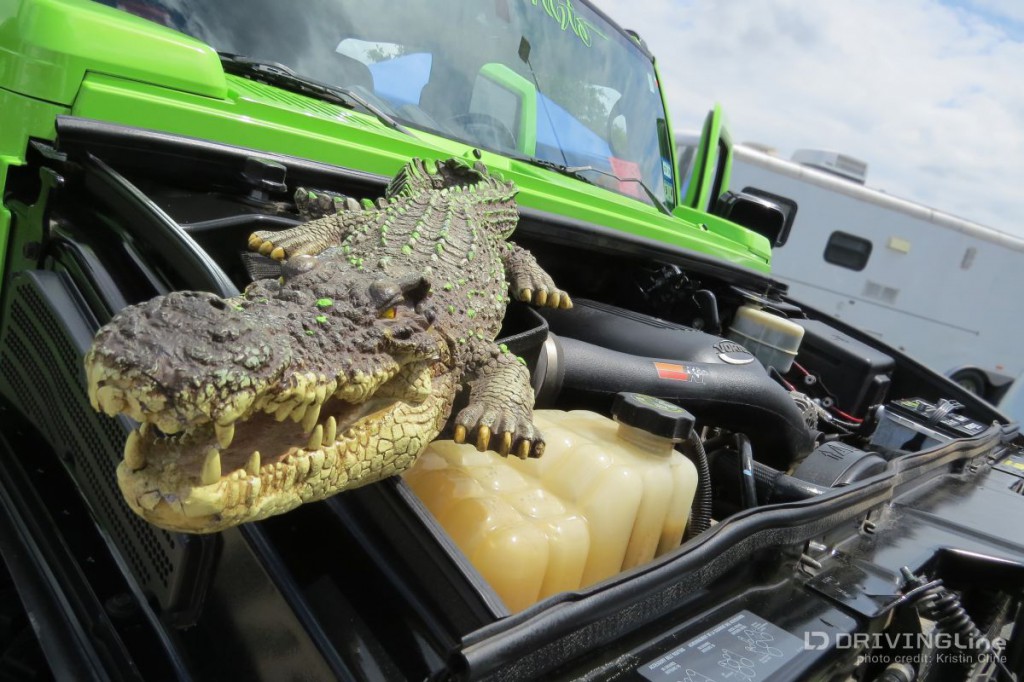 Texas_Heatwave_2013_Gallery_28