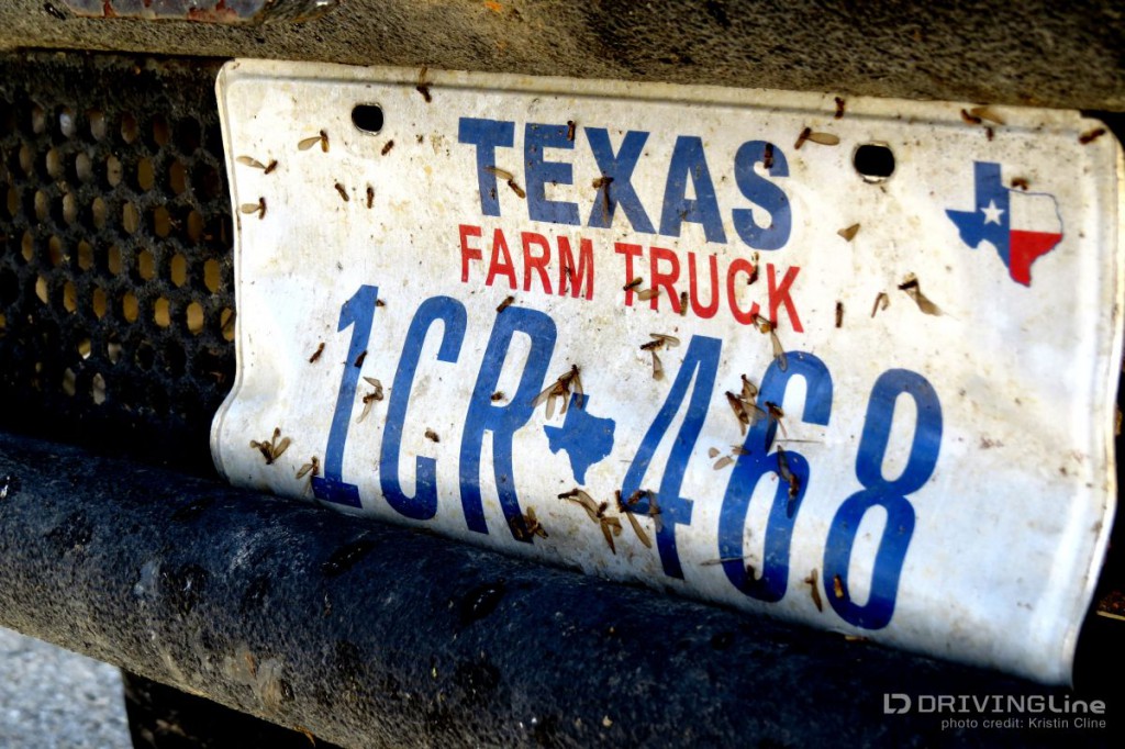Texas_Heatwave_2013_Gallery_44