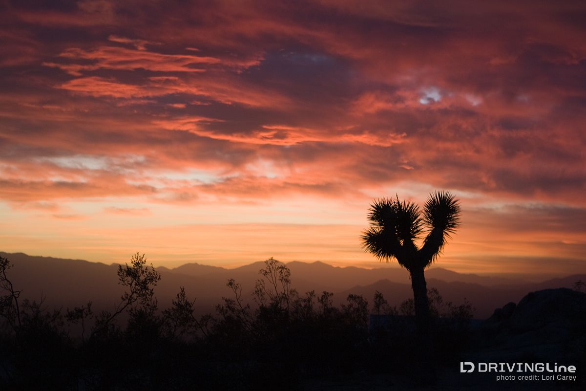 Bullfrog_Trail_OHV_Off-Road_Trail_Review_14