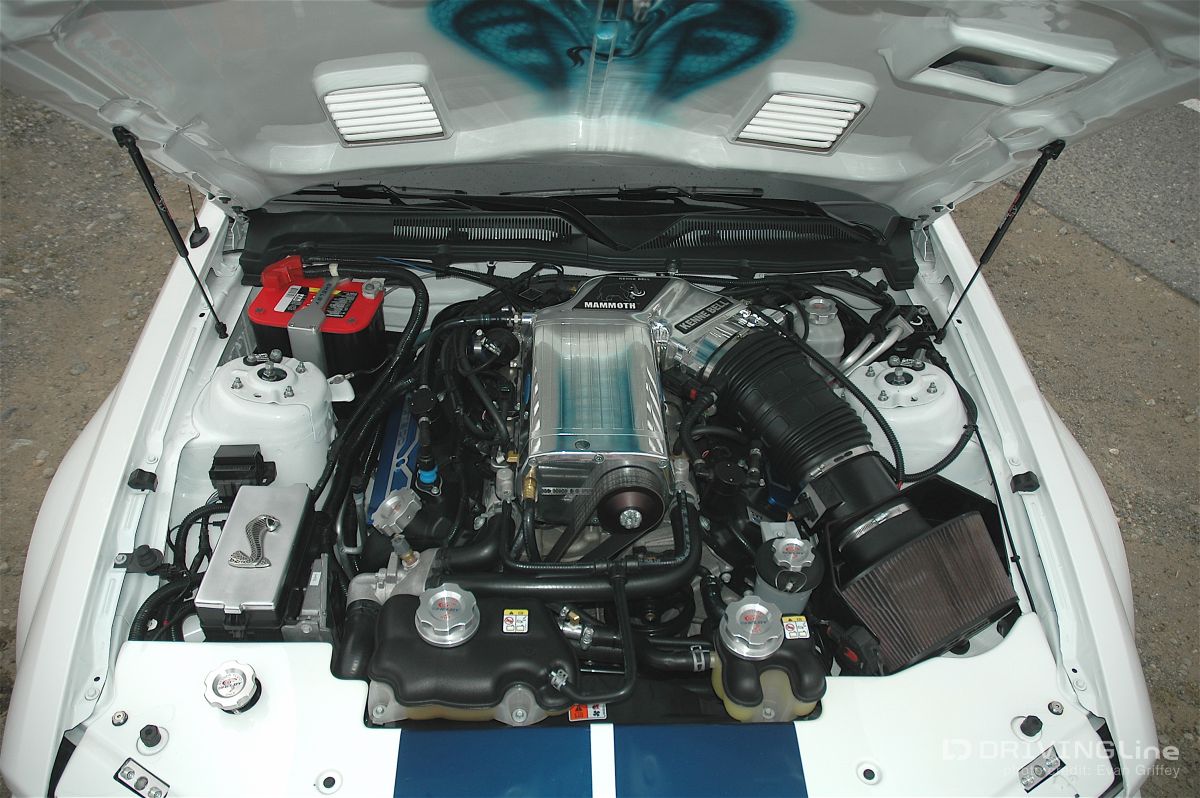 Shelby_Mustang_GT500_23