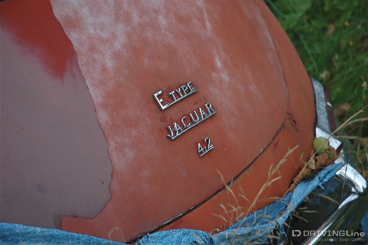 1968_Jaguar_E-type_barn-find-07