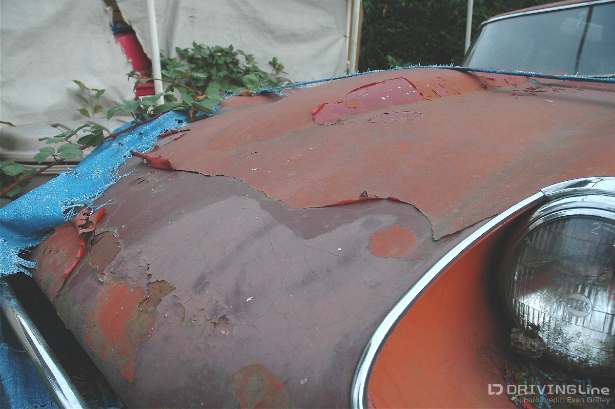 1968_Jaguar_E-type_barn-find-09