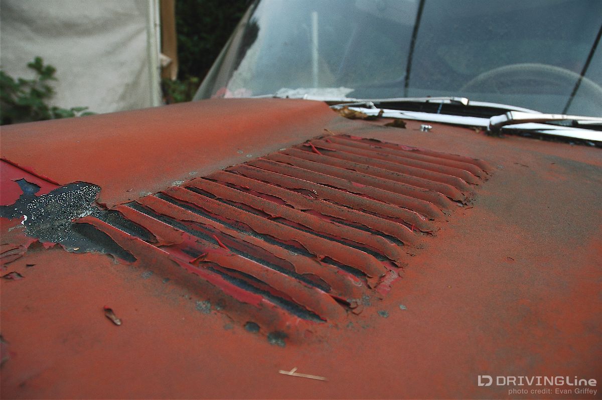 1968_Jaguar_E-type_barn-find-12