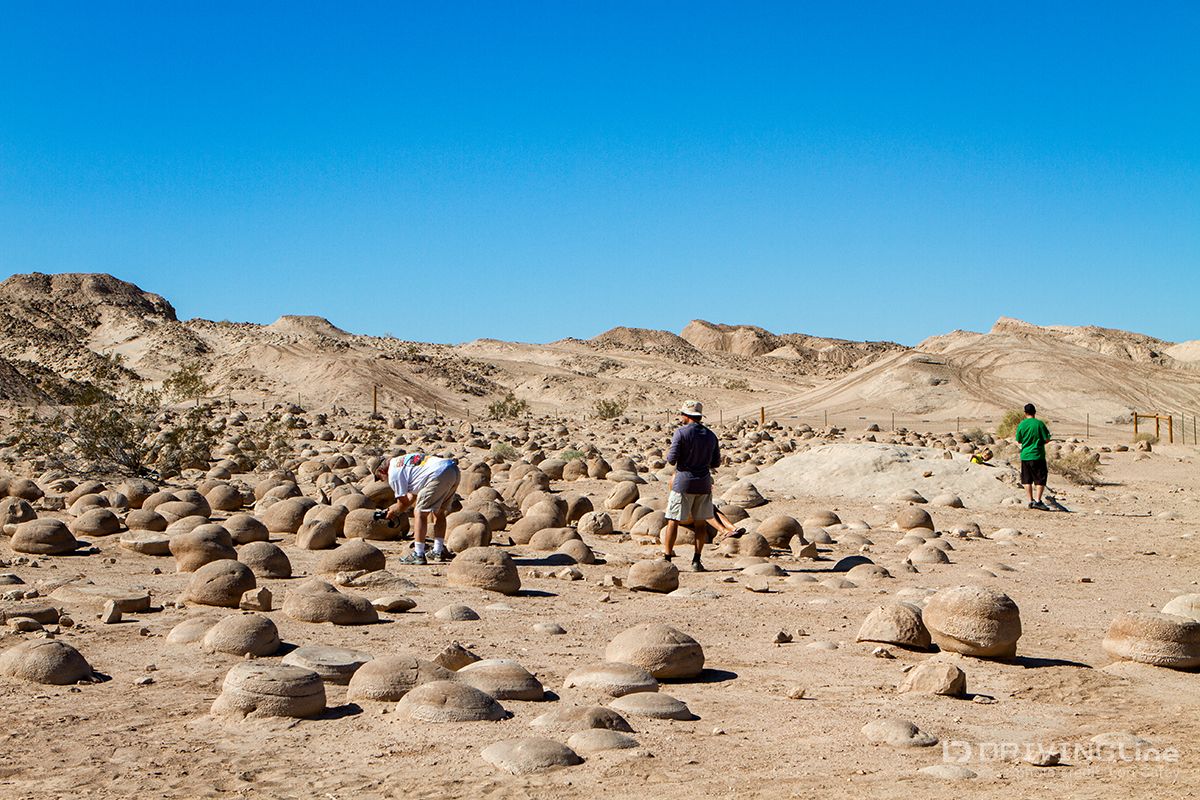 4-wheel-2-heal-vets-offroad-26