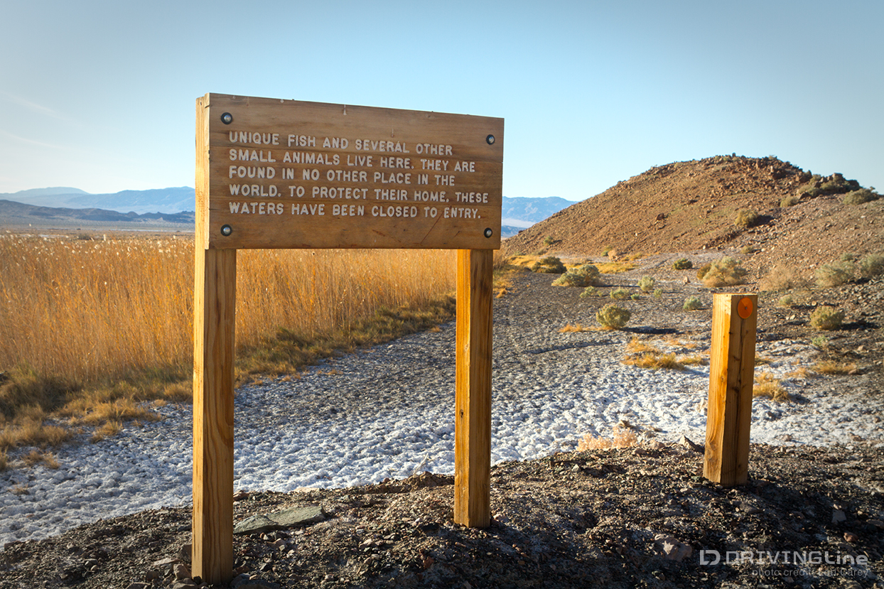 Sign at Saratoga Springs in Death Valley National Park