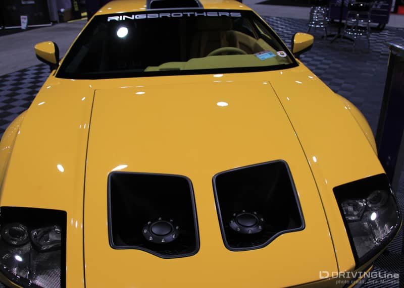 Ring Brothers 71 Pantera