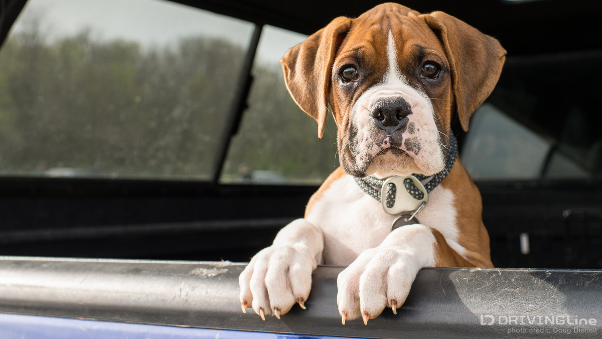 Drivingline Driving Line Rallycross Badlands subaru nitto tire dirt rocks gravel_-8