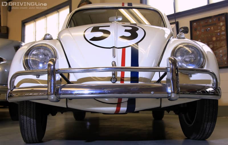 LR Herbie Nose