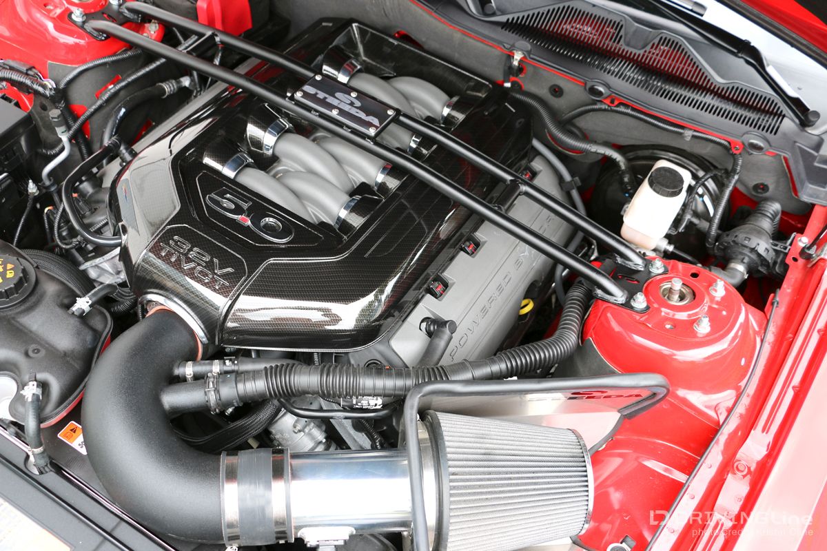 Steeda-Autosports-Ford-Mustang-Dario-Orlando-02