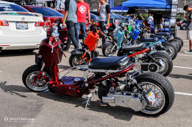EAF_2014_SD_20