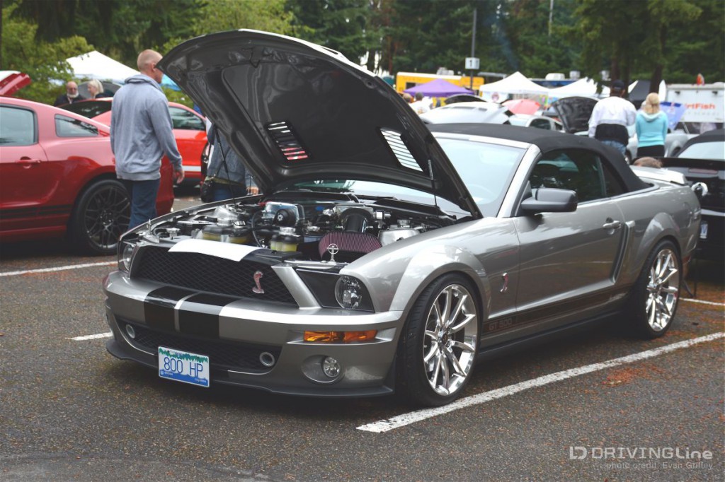 Hailing from north of the border the license plate on this ’07 GT500 convertible lays it all on the line.