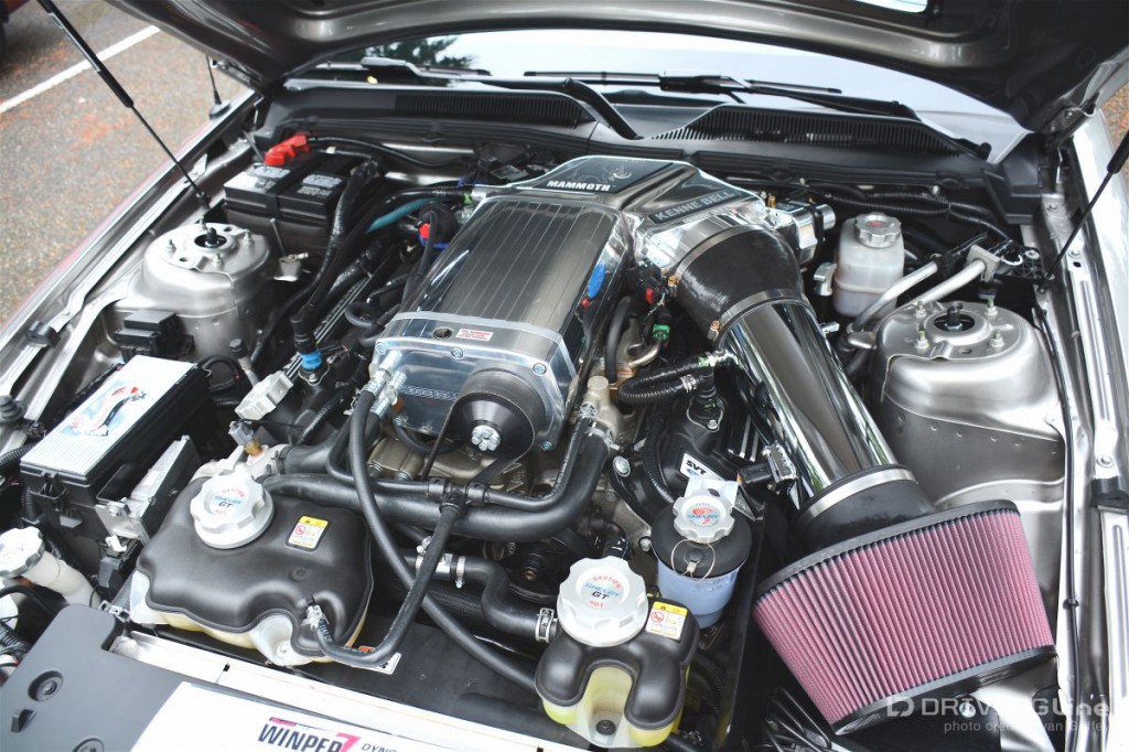 The Canadian pony is legit as the owner displayed a dyno chart testifying to the Ford’s 778 wheel horsepower.