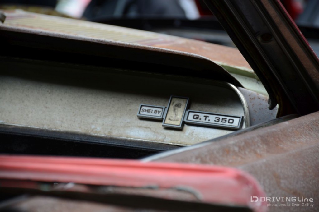 …Hello Mr. Shelby.