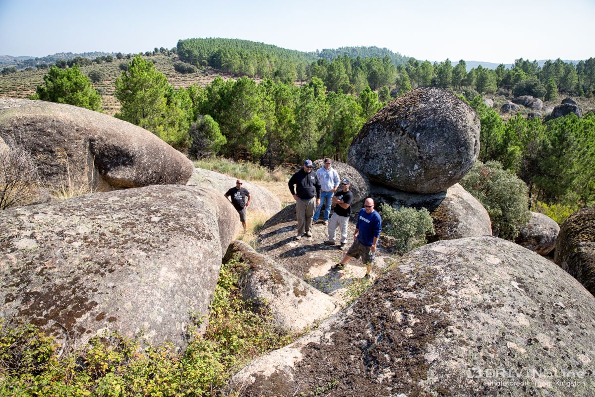 Scouting -- 2014 King of Portugal