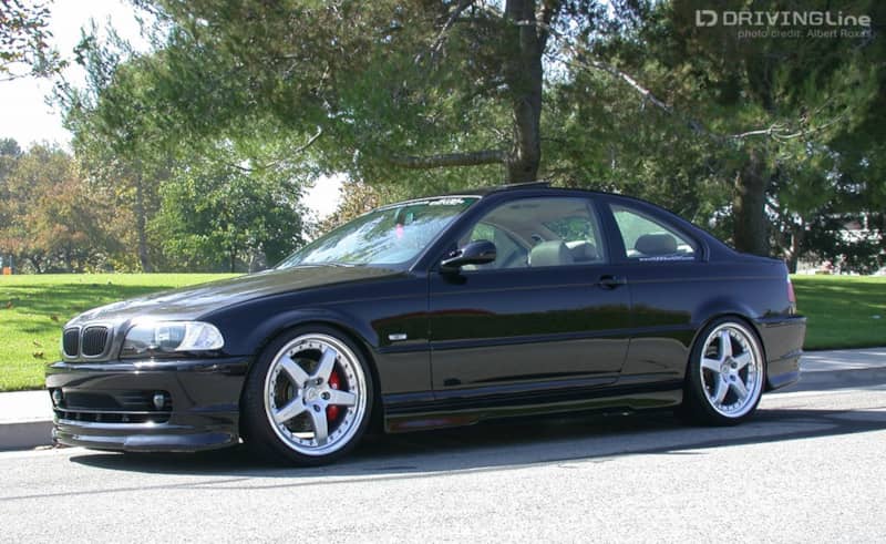 323_hamann