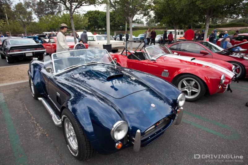 cobras