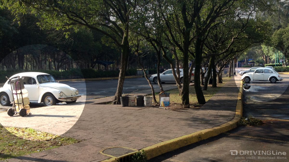 Mexico-City-Car-Trend-VW-Bugs-06