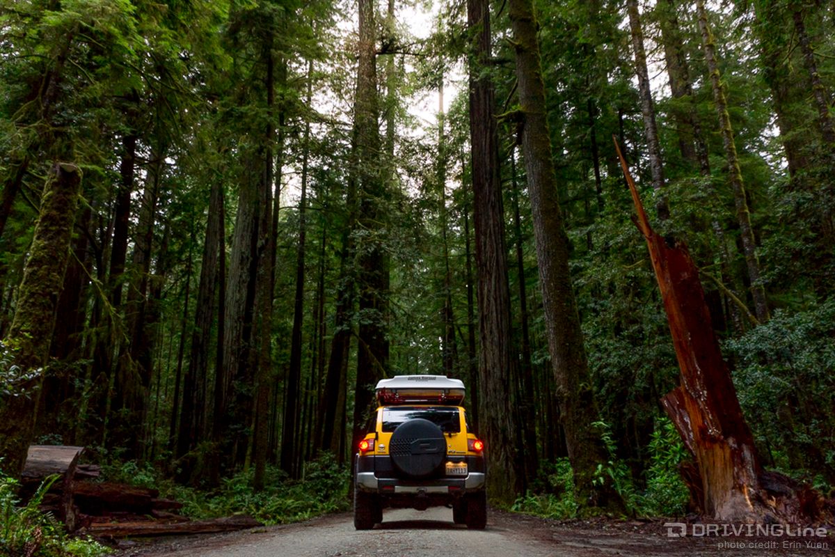 west-coast-road-trip-fj-cruiser-california-oregon-washington-camping-photography-04