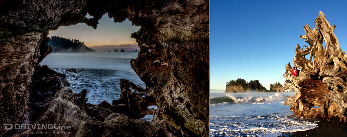 west-coast-road-trip-fj-cruiser-california-oregon-washington-camping-photography-17