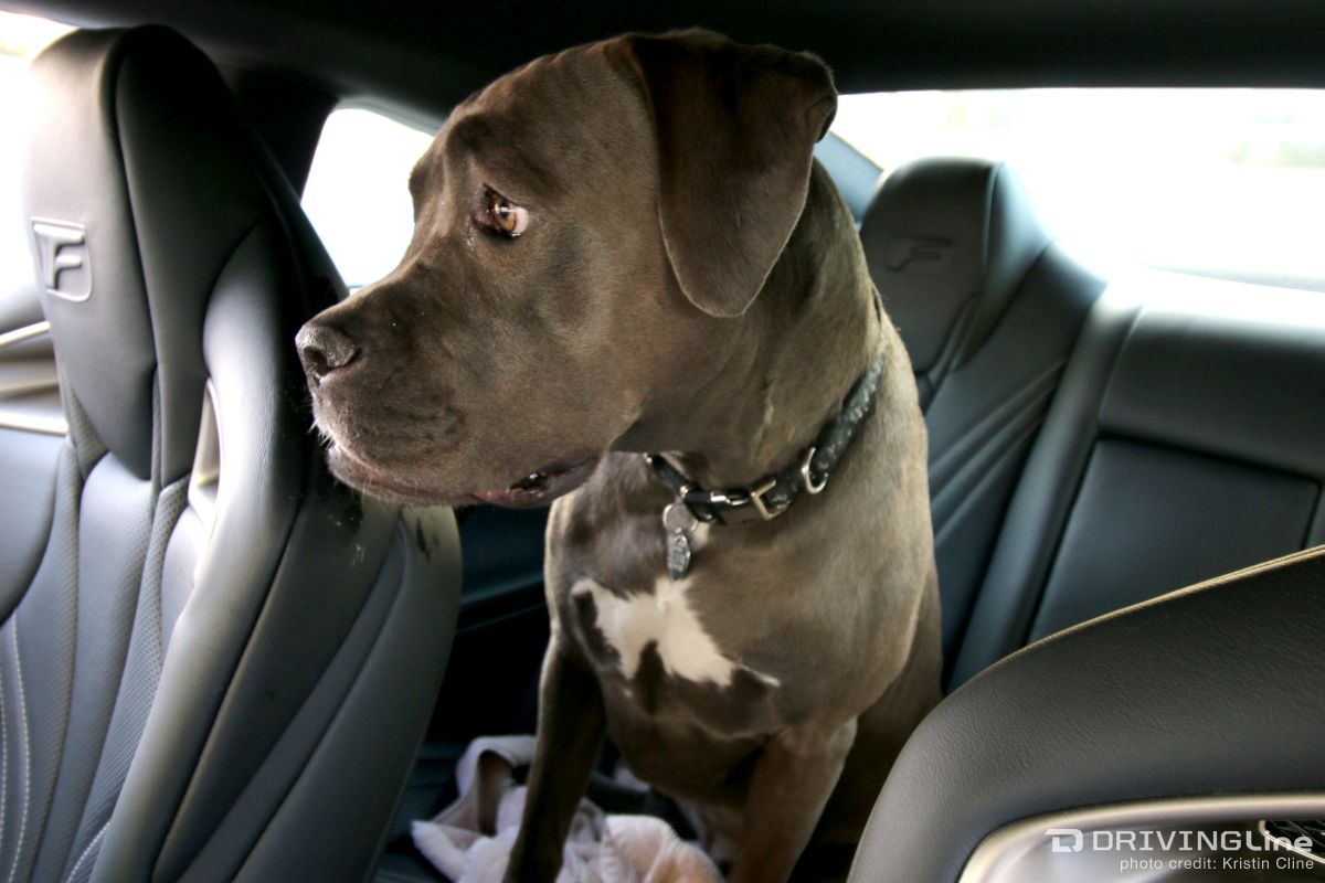 Lexus-RC-F-Sportscar-Review-KCline-01