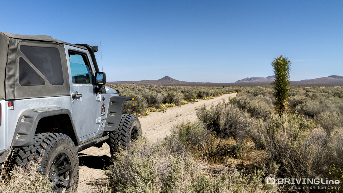 Jeep on Black Canyon trail