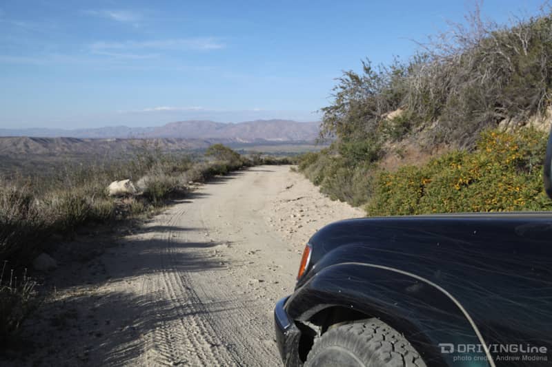 Sphincter Clenching at Cleghorn Ridge Trail DrivingLine