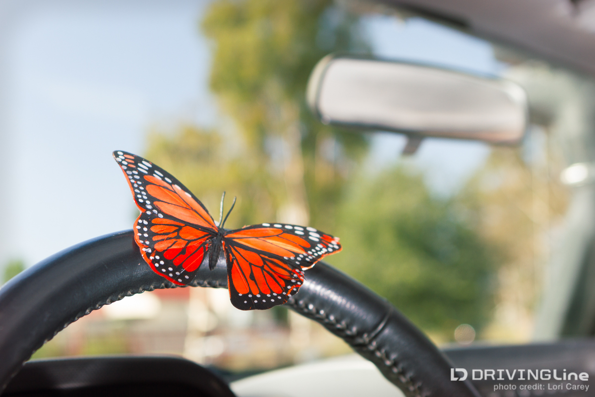 butterfly on steering wheel