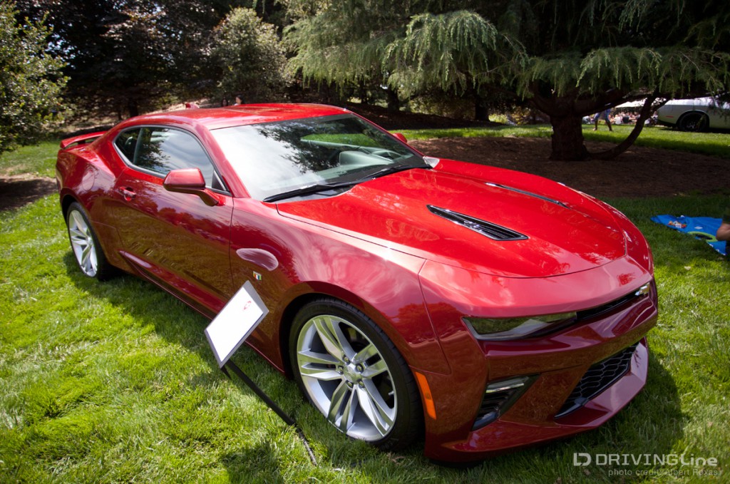 IMG_2773_camaro