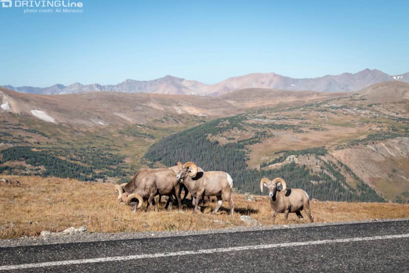 2015-nitto-tire-jkx-west-coast-day-4-sidewinder-trail-colorado (24)