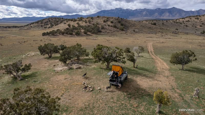 Overlanding with Dog in Toyota Tacoma