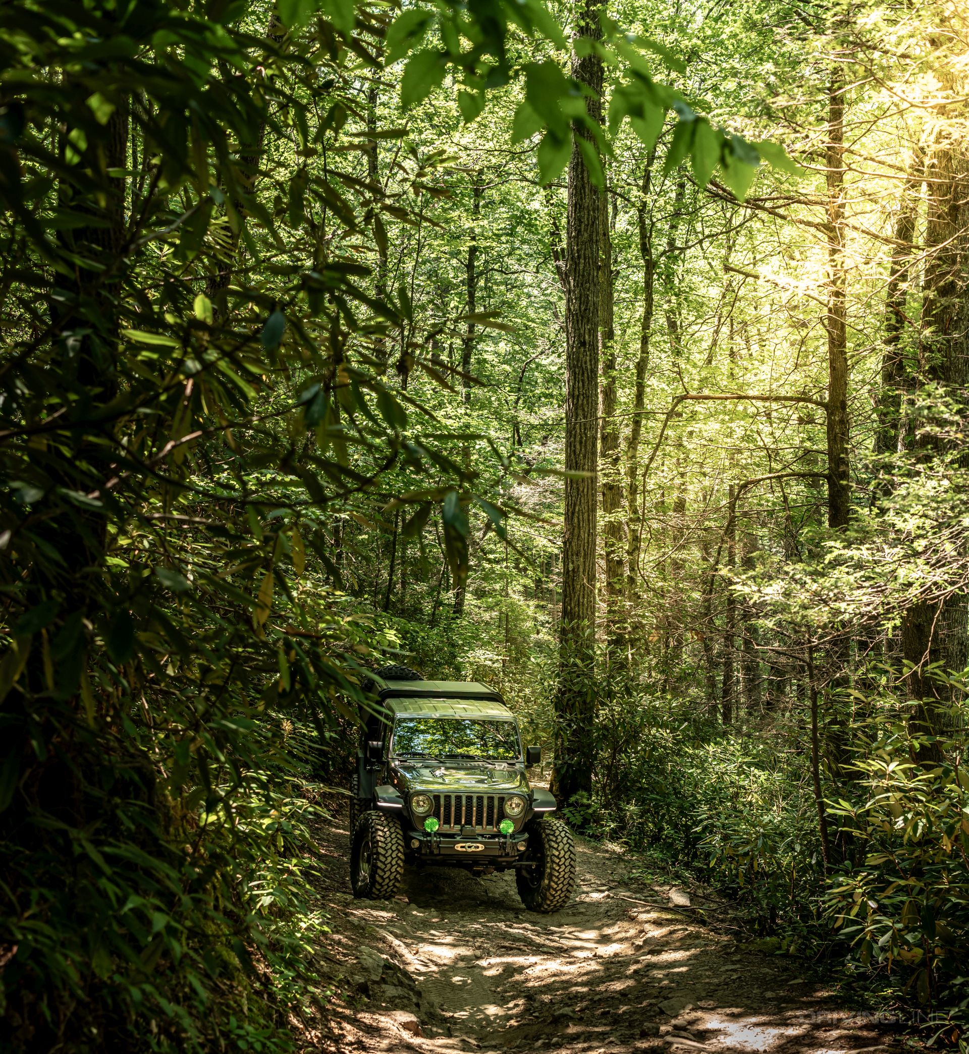 Hurricane Creek Forest Service Road Jeep Gladiator