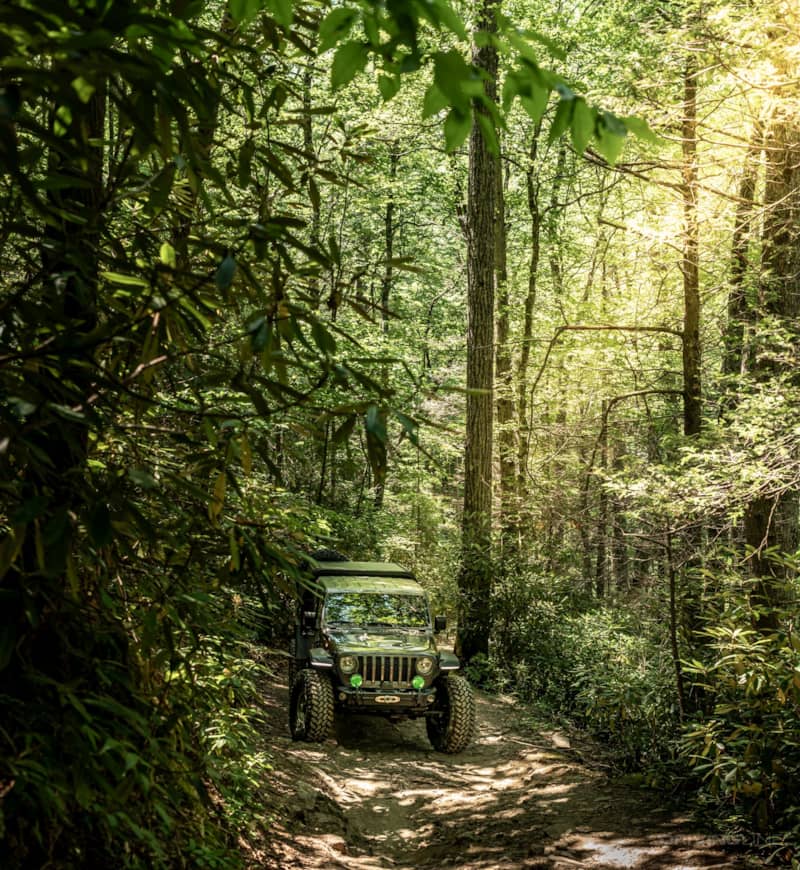 Hurricane Creek Forest Service Road Jeep Gladiator