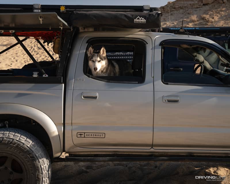 Koda in a silver Toyota Tacoma built for overlanding