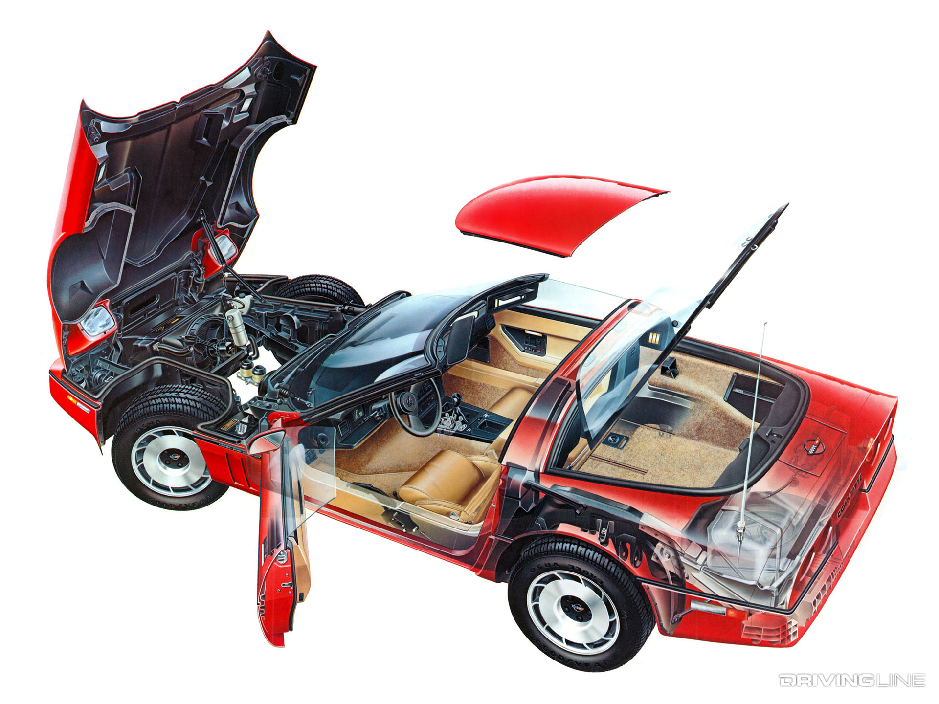 C4 Corvette Cut Away