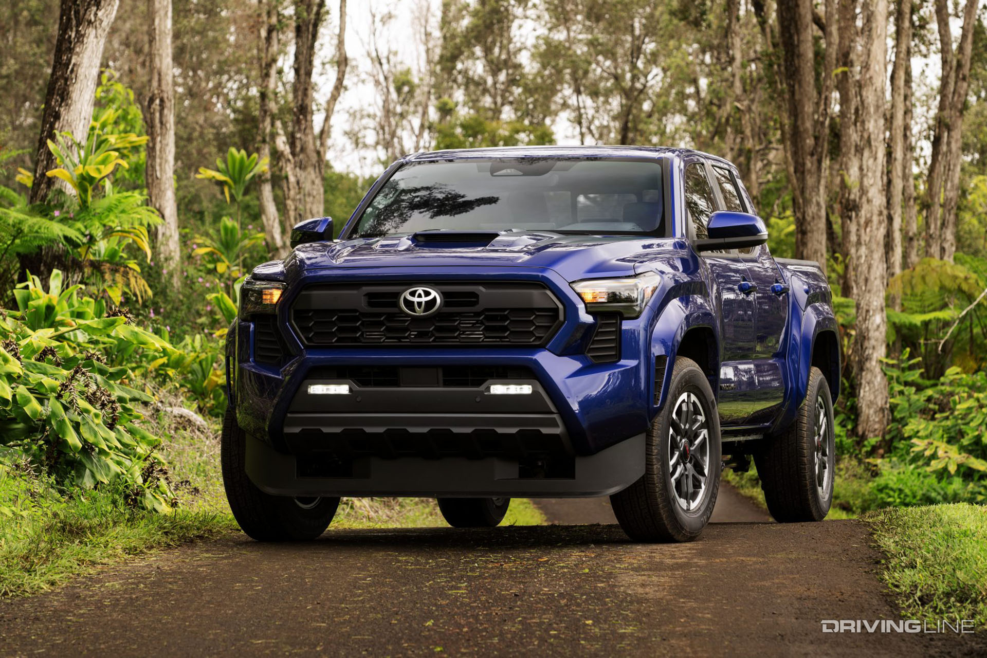 2024 Tacoma Front View Blue