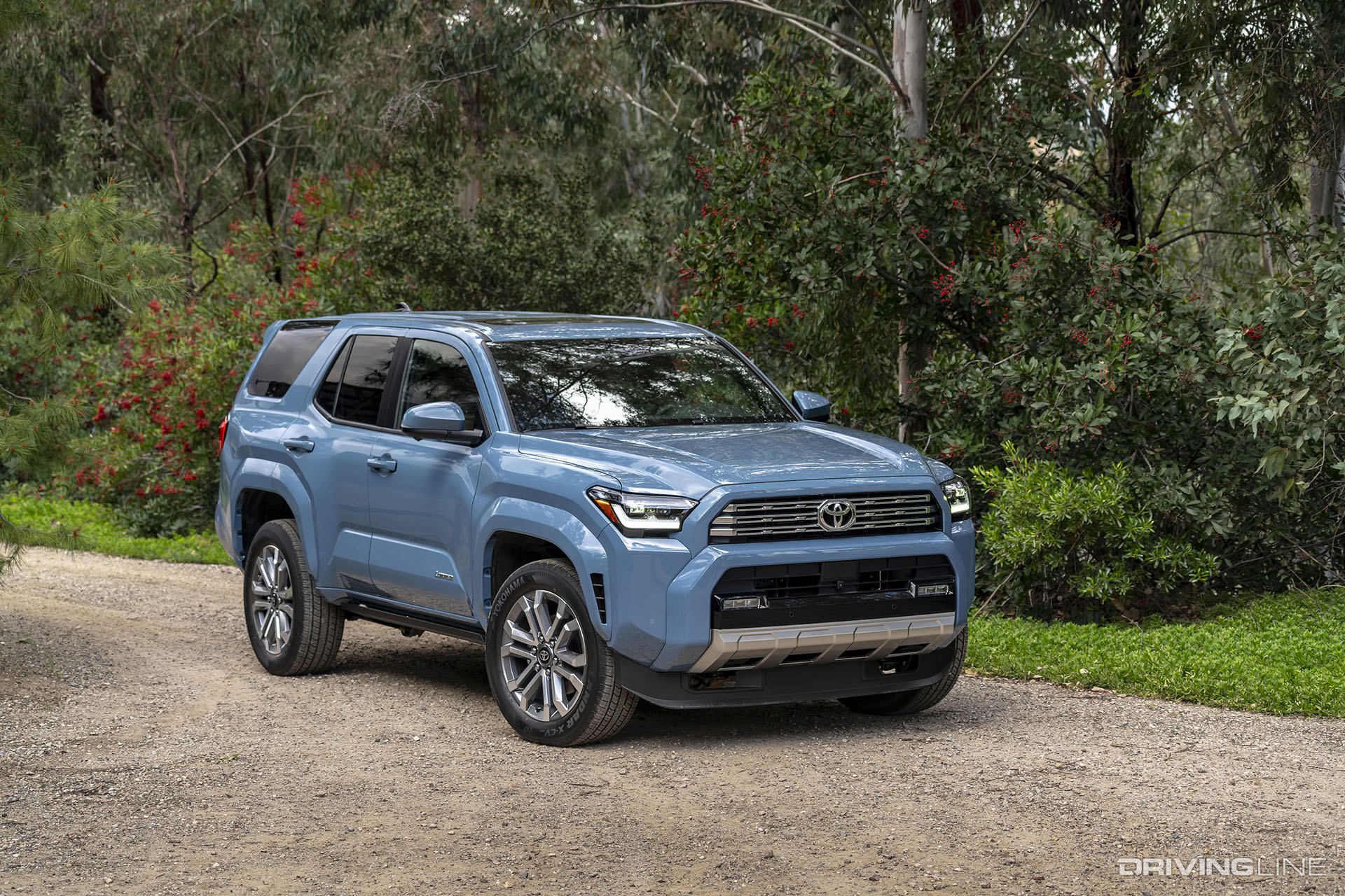 2025 Toyota 4Runner Blue