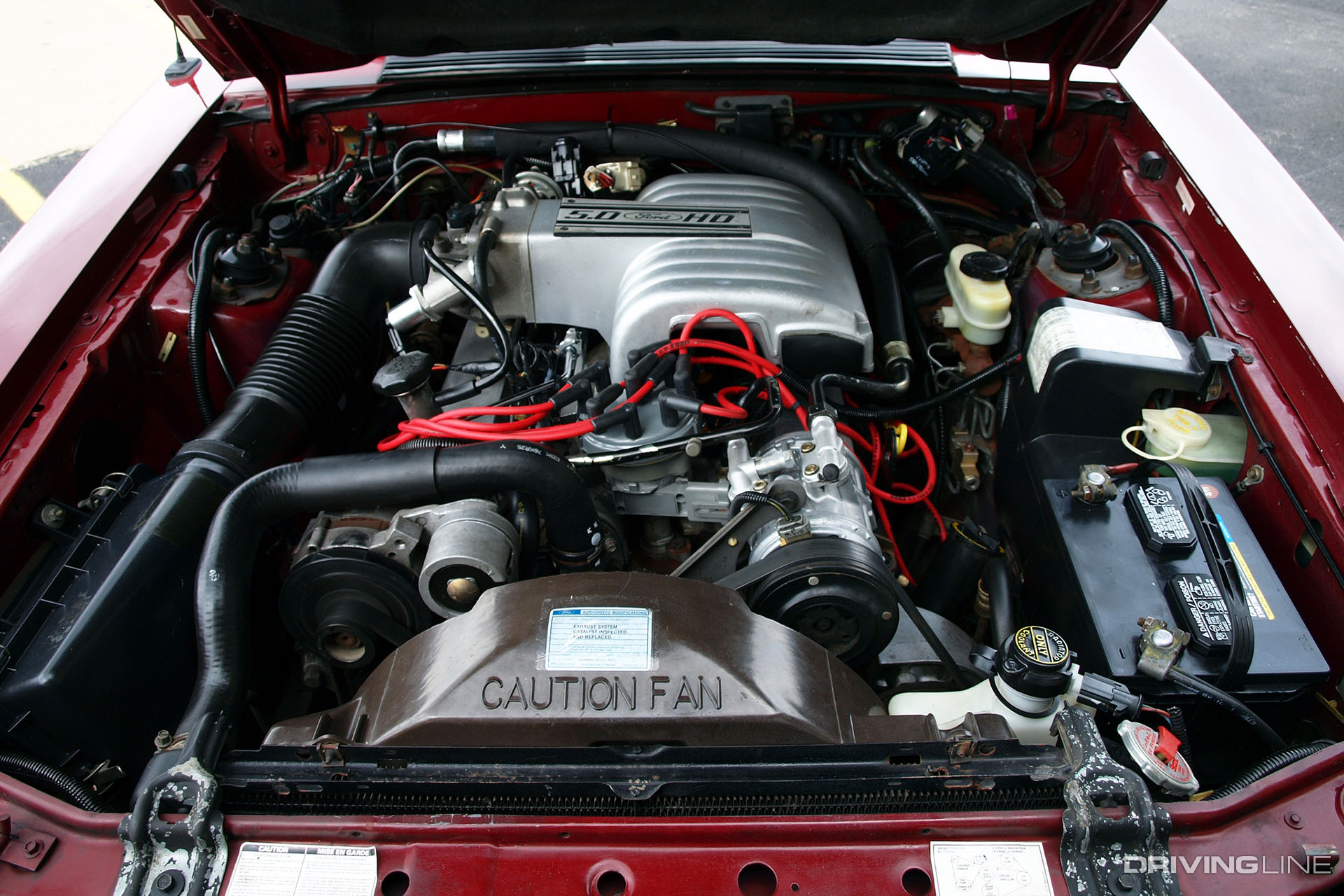 Ford Mustang 5.0 Engine Bay