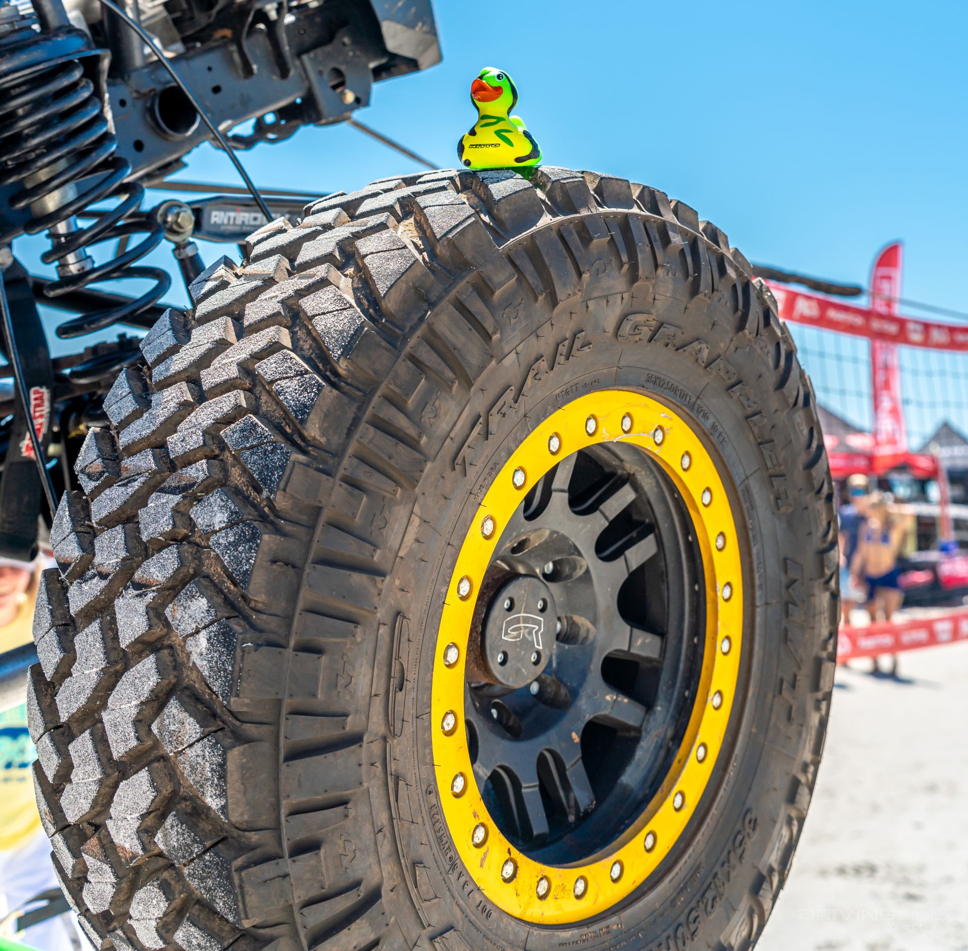 Duck on Nitto Trail Grappler tire Jeep Beach 2024