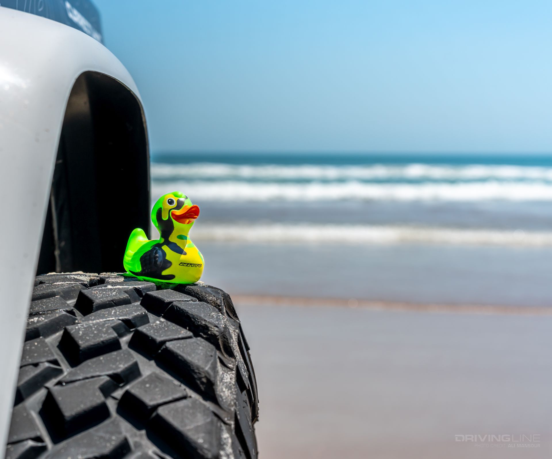 Nitto Duck on Trail Grappler at Jeep Beach Daytona Beach