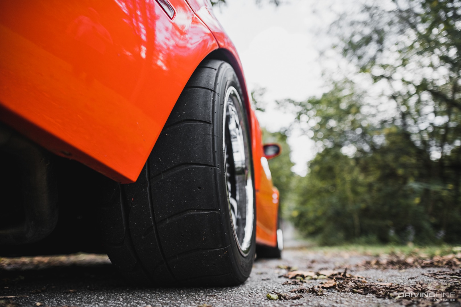 Modern Mustang on Nittos
