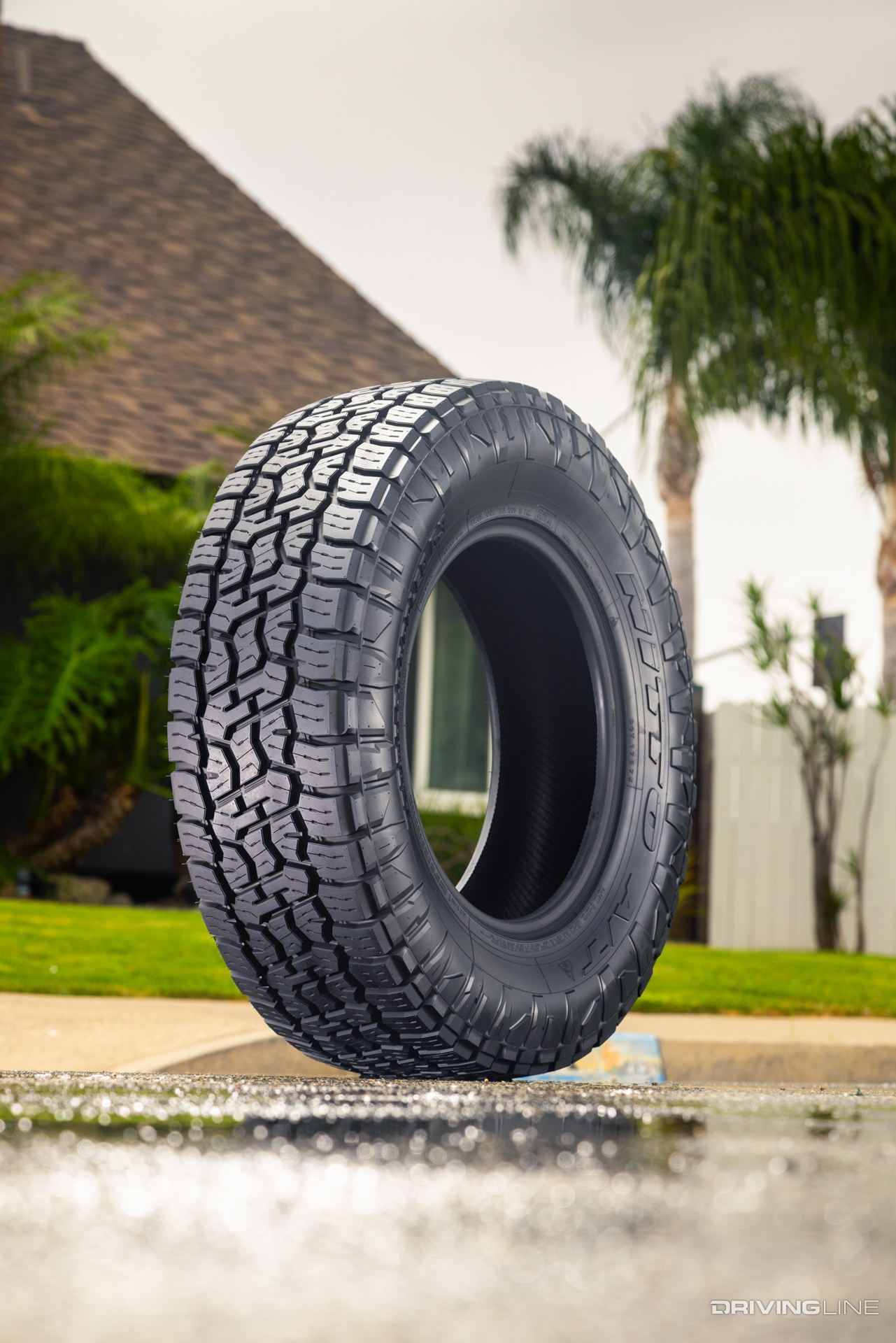 Nitto Terra Grappler G3 A/T wet performance in front of palm trees