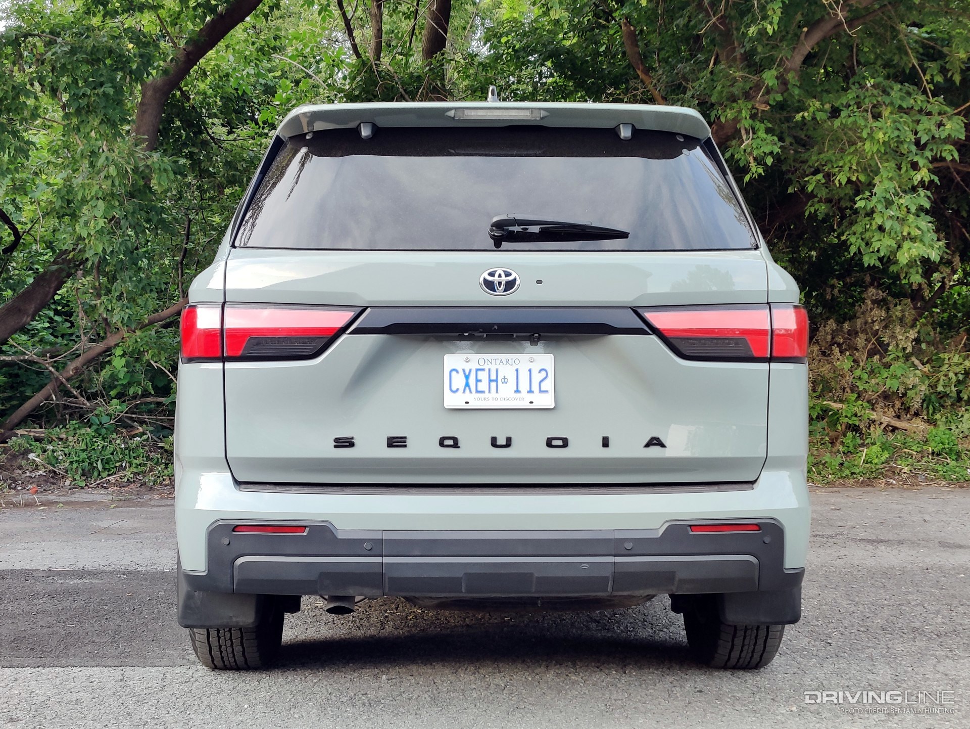 2023 Toyota Sequoia TRD Off-Road rear view