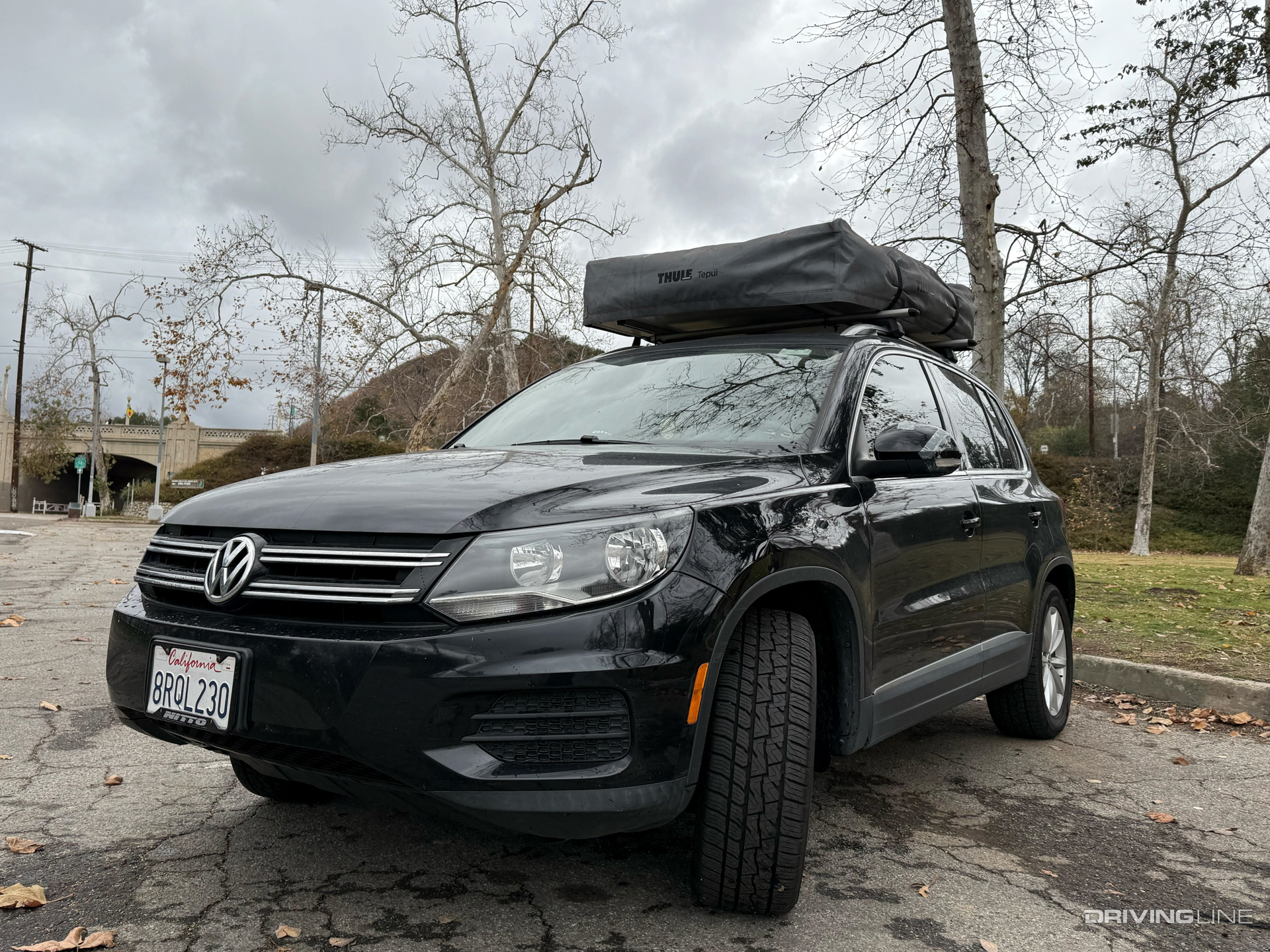 Volkswagen Tiguan on Nitto Motivo 365 All-Weather Tires