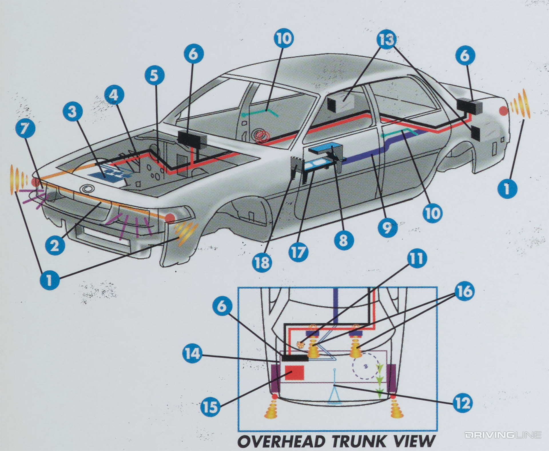 Ford Crown Vic Cut Away