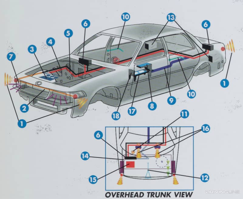 Ford Crown Vic Cut Away