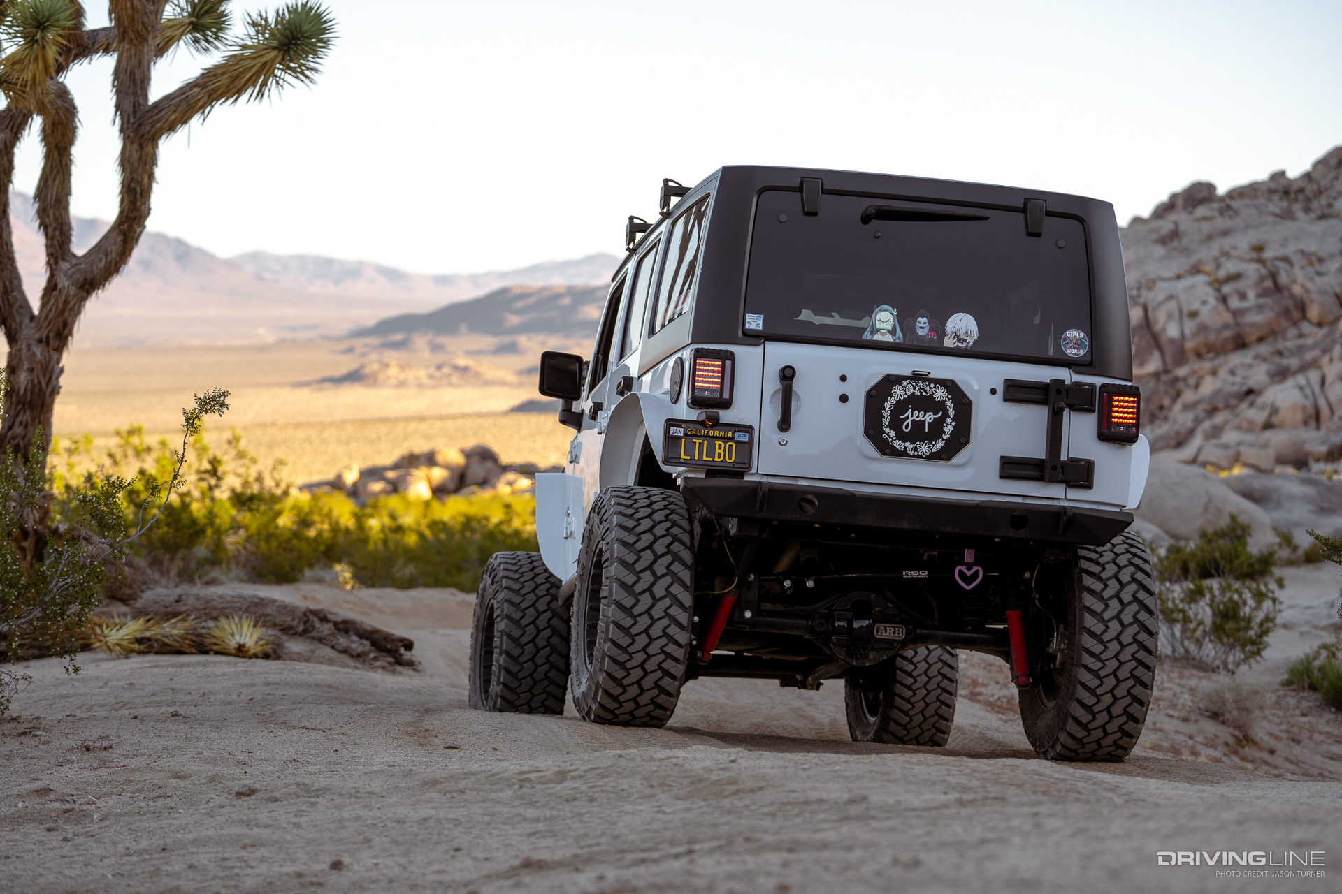 Little Bo Jeep Rear View